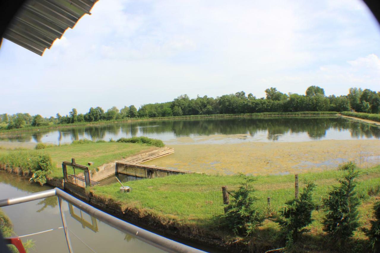 Le Moulin Traffay Vendégház Saint-Didier-sur-Chalaronne Kültér fotó